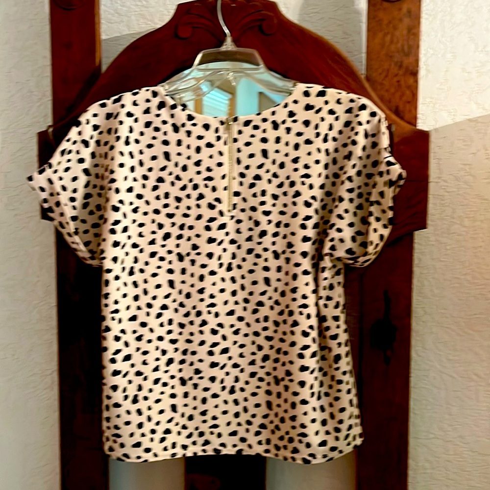 Black n shell dress blouse